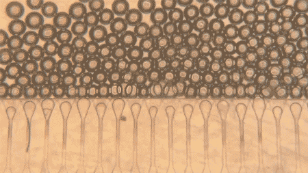 Cluster of spheres move to the right as spheres are added through injectors at bottom