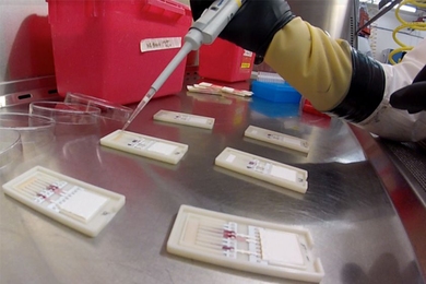 Researchers at MIT's Institute for Medical Engineering and Science are developing a prototype device that can rapidly diagnose Ebola hemorrhagic virus.