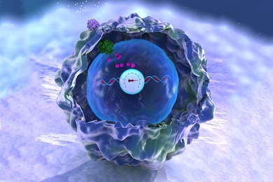 MIT biological engineers have devised a memory storage system illustrated here as a DNA-embedded meter that is recording the activity of a signaling pathway in a human cell.