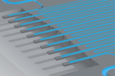 MIT engineers have designed a system that can repeatedly measure cancer cells as they flow through an array of mass sensors. Once the cells reach the end, they are collected for RNA-sequencing.