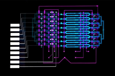 An MIT-invented microfluidics device could help doctors diagnose sepsis, a leading cause of death in U.S. hospitals, by automatically detecting elevated levels of a sepsis biomarker in about 25 minutes, using less than a finger prick of blood.