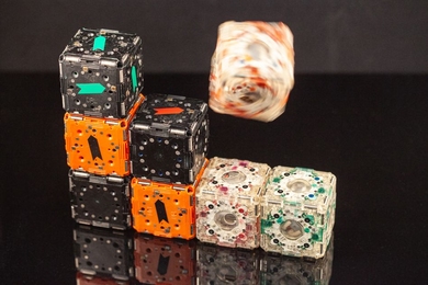 One modular robotic cube snaps into place with rest of the M-blocks.