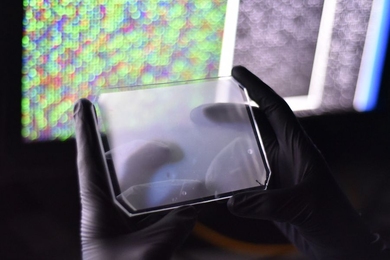 Photograph of the microwell CARMEN chip.