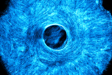 A cyan-colored circular image, full of scratchy lines, resembles an iris.