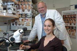 J. Troy Littleton, a professor in the Picower Institute for Learning and Memory at MIT, joins biology graduate student Sarah N. Huntwork in the lab. They have created the first genetically-engineered mutant--in this case a fruit fly--that produces no complexins (proteins that play a role in the release of neuro-transmitters) during cell-to-cell signaling.
