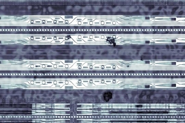 In the prototype optical chip shown here, the circles in the top two rows are "ring resonators" that can filter out light of different wavelengths.