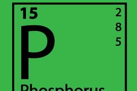 Phosphorous box from the periodic table