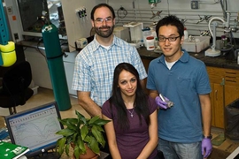 From left to right, Associate Professor Michael Strano with graduate student Ardemis Boghossian and postdoctoral fellow Moon-Ho Ham, in one of the labs where they carried out their experiments. 