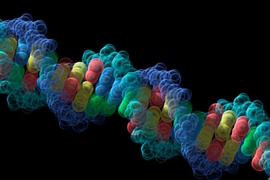 Computer illustration of a color-coded double helix strand of DNA against a black background