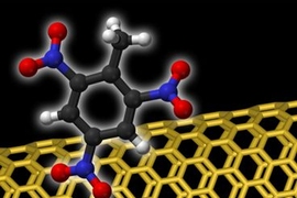 The MIT researchers' sensor uses carbon nanotubes (in yellow) covered in protein fragments to detect even a single molecule of an explosive, such as the TNT molecule shown here.