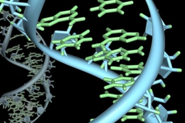 Genetics image