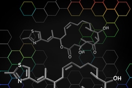 model of molecules