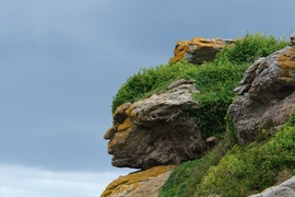 Patterns in the world, like this rock formation in Ebihens, France, can sometimes fortuitously look like human faces. In a new study, Meng et al. have used this phenomenon of pareidolia to investigate how the neural processing of faces differs in the left and right halves of the brain.