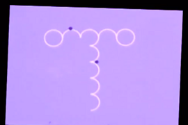 Abstract graphic of pink circles and half circles on a purple background