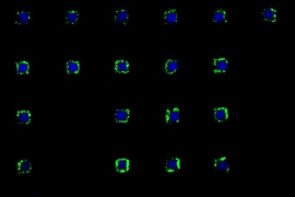 'MIT is equal to infinite' pattern was made of various spatially organized cell types in defined geometries. 'MIT' and 'equal' patterns were made of spatially distributed human hepatoblastoma cells and NIH-3T3 fibroblasts. The infinite pattern was combination of one circular and one square pattern which were made of spatially arranged human hepatoblastoma cells and human umbilical vein endothelial...