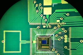 A close-up of the new chip, equipped with a radio transmitter, which is powered by a natural battery found deep in the mammalian ear.