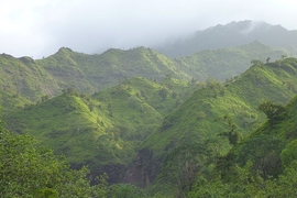 This image was taken in the Hanalei River basin on the north side of the Hawaiian island of Kauai.