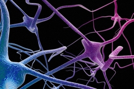 An artist's impression depicting a network of neurons of the nervous system.