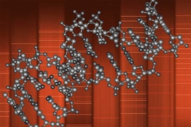 Strands of DNA are grouped together