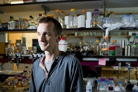 MIT biologist Michael Laub