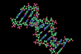 DNA structure