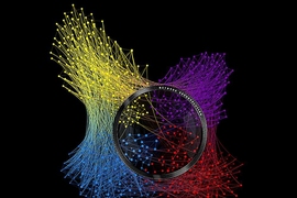 Illustration of the researchers' new technique for examining network connections. 