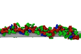 MIT chemical engineers created this sensor that can recognize riboflavin by coating a carbon nanotube with amphiphilic polymers.