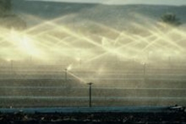 Pooled aquifer resources are often used for crop irrigation, such as this system in Yuma, Arizona. 