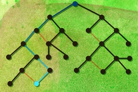 Calculating the mutual information between two nodes in a graph is like injecting blue dye into one of them and measuring the concentration of blue at the other. Crucial to the new algorithm are the elimination of loops in the graph (orange) and a technique that prevents intermediary nodes (black) from distorting the long-range calculation of mutual information (blue).