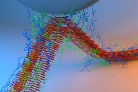 This image shows adhesion between the silica tip of an atomic force microscope and adhesive fibers made by fusing mussel foot proteins and curli amyloid fibers.