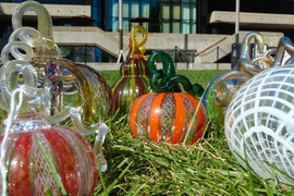 Glass pumpkins sit on the grass in front of MIT's Student Center