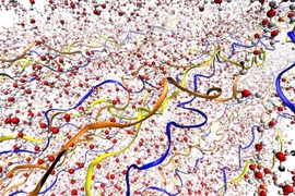 Illustrations depict the collagen fibrils, with their triple-helix structure, surrounded by water molecules. The three different chains of the triple helix are depicted in different colors. Water molecules are shown in red and gray.
