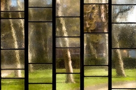 Glass window panels that show trees