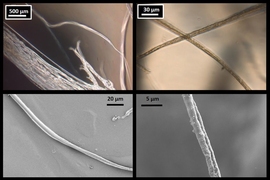 Microscope images of lab-produced fibers confirm the results of the MIT researchers' simulations of spider silk. At top are optical microscope images, and, at bottom, are scanning electron microscope images. At left are fibers 8 micrometers across, and, at right, are thinner, 3 micrometer fibers.