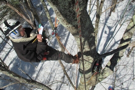 Lynda Mapes taking notes in a red oak