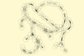 Illustration of points in an arbitrary high-dimensional space that live close to a one-dimensional, tree-like structure, as might arise from genomes generated by mutation and selection in evolution. Although high-dimensional at a fine scale, at the coarser scale of covering spheres, the data cloud looks nearly one-dimensional, which enables entropy scaling of similarity search.