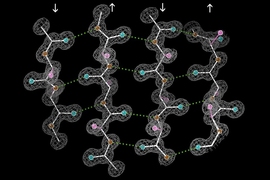 Antiparallel beta-sheet structure of the enzyme catalase: The antiparallel hydrogen bonds (dotted) are between peptide NH and CO groups on adjacent strands. Arrows indicate the chain direction, and electron density contours outline the non-H atoms. 