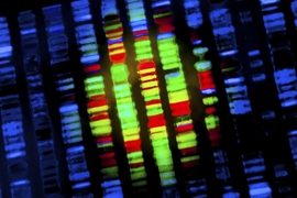CEO Justin Lamb says Genometry aims to help pharmaceutical firms use gene-expression data (represented here as a heat map of gene expression values) to effectively digitize their compound collections. 