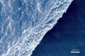 A scanning electron micrograph shows a free-standing Bombyx mori silk nanofibril membrane.