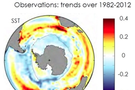 Observed sea surface temperature (SST) trends for 1982-2012 in degrees Celsius per decade. 