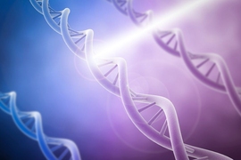 MIT researchers have added an extra layer of control to the CRISPR gene-editing approach, by making the system responsive to light.