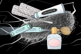 MIT spinout Manus Bio has created a low-cost process for engineering microbes with complex metabolic pathways borrowed from plants, which can produce an array of rare and expensive ingredients used to manufacture noncaloric beverages, perfumes, toothpastes, detergents, pesticides, and even therapeutics, among other products.
