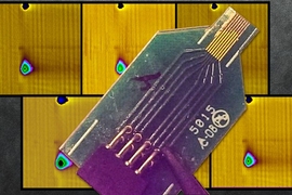 A new MIT transmitter that measures dopamine overcomes limitations of earlier transmitters, providing accurate readings for longer periods of time and covering more of the brain.

