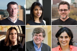 Top row, left to right: Stephen Bell, Sangeeta Bhatia, and Christopher Cummins. Bottom row, left to right: Esther Duflo, Klavs Jensen, and Nergis Mavalvala.
