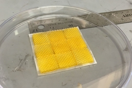 Nicholas Fang, an associate professor of mechanical engineering, won an MITEI Seed Fund grant to continue his research into developing efficient ceramic support structures for catalytic converters used in power plants and in the automotive industry. This photo shows a piece of 3-D-printed cellular ceramic substrate with 100-nm-thin walls that has exhibited excellent thermal conductance and mechani...