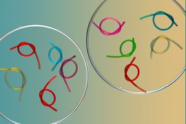 MIT engineers have designed a gel-like material that can be coated onto standard plastic or rubber devices, providing a softer, more slippery exterior that can significantly ease a patient’s discomfort during surgery.
