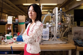 Professor Evelyn Wang, the director of MIT’s Device Research Laboratory, has been appointed associate head of the Department of Mechanical Engineering. 