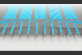 Cells pass through an sSMR device, which consists of multiple sensors that are fluidically connected in series and separated by delay channels (not all is shown). This design enables a stream of cells to flow through the device such that different sensors can concurrently weigh flowing cells in the stream.


