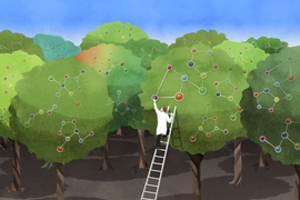 A Whitehead Institute for Biomedical Research study has revealed how an enzyme first isolated in bacteria and introduced into plants such as corn and soybeans in the 1990s can sometimes act imprecisely, and how it can be successfully re-engineered to be more precise.