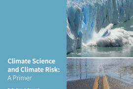 "Climate Science and Climate Risk: A Primer" by Kerry Emanuel is written for nonscientists.